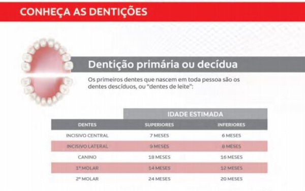 dentio decdua